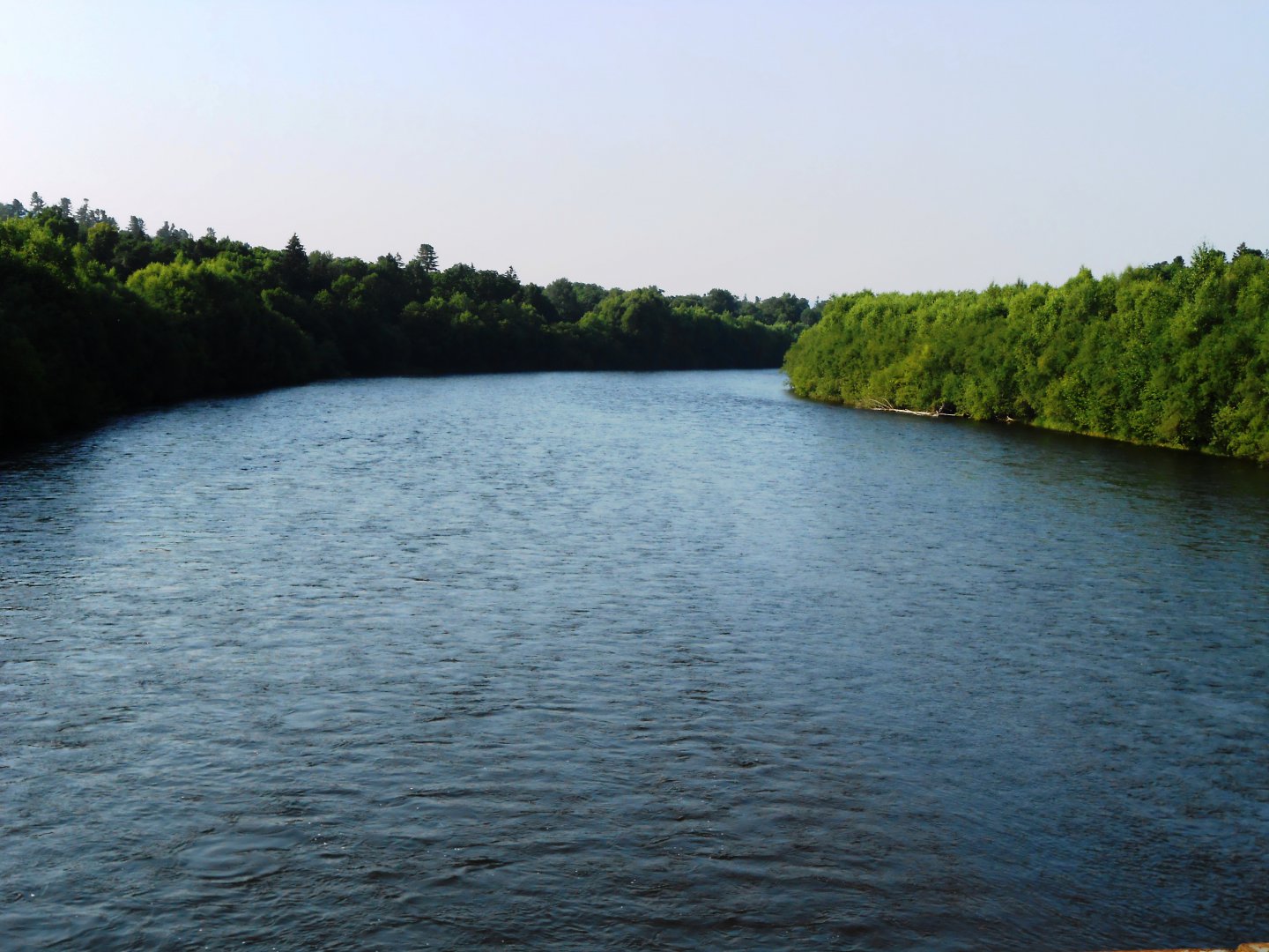 DSCN0382.JPG