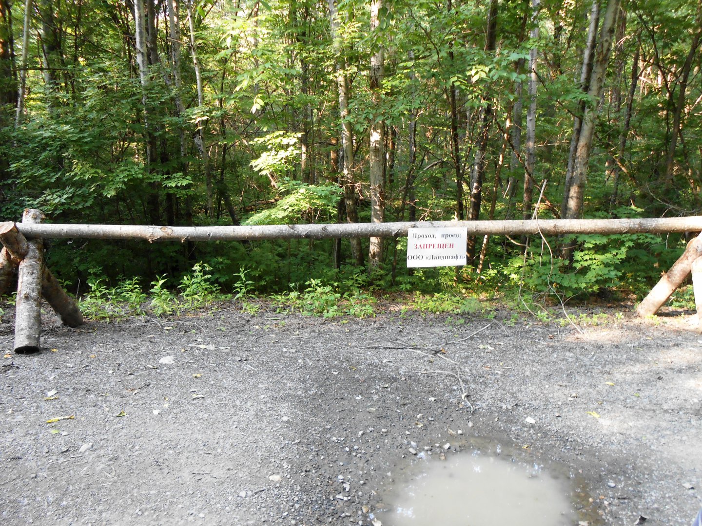 DSCN0383.JPG