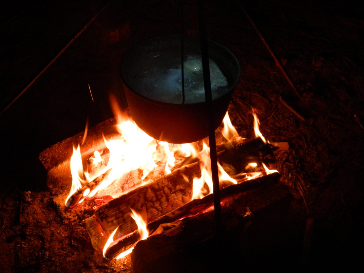 DSCN0384.jpg