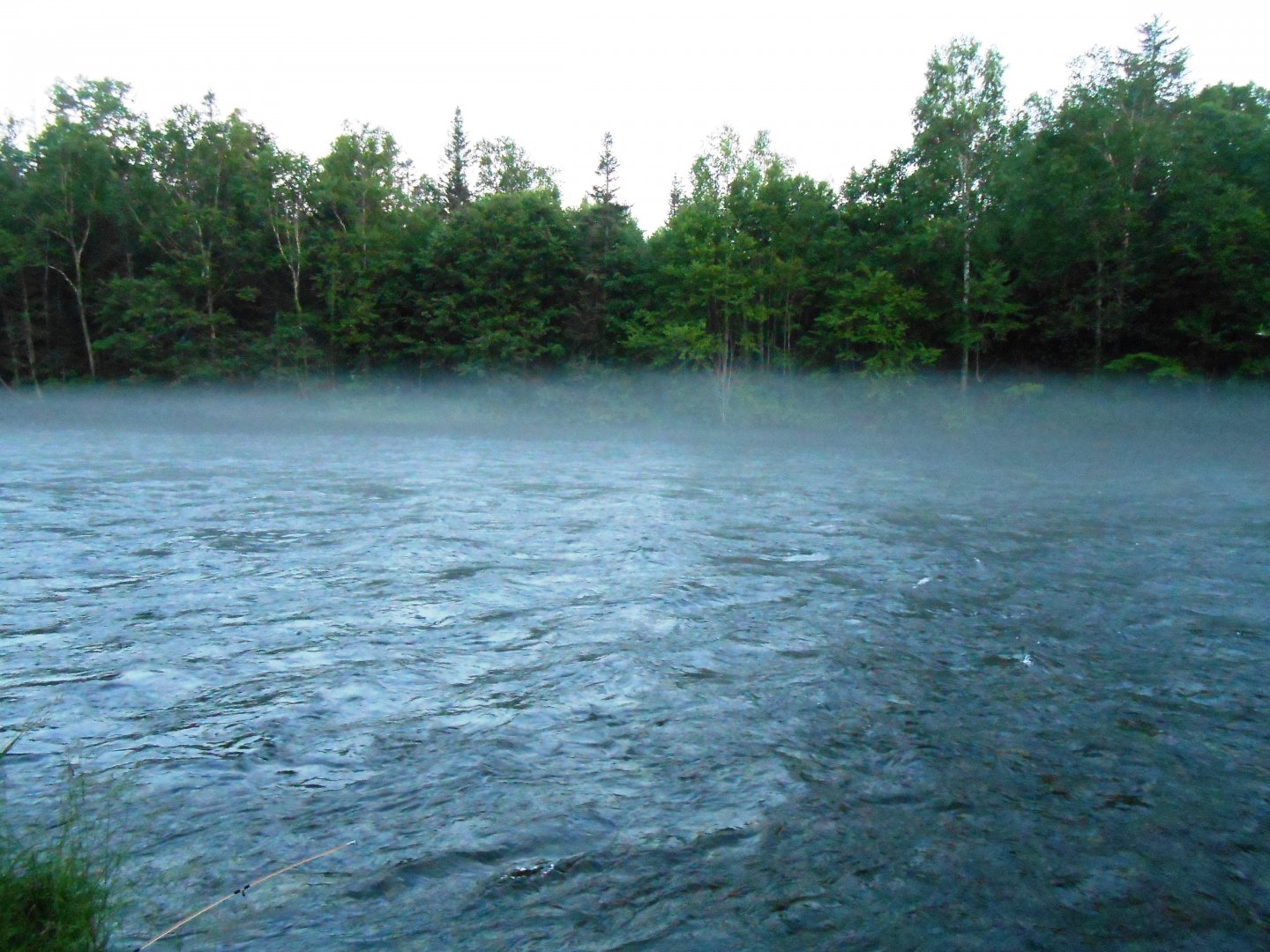 DSCN0387.JPG