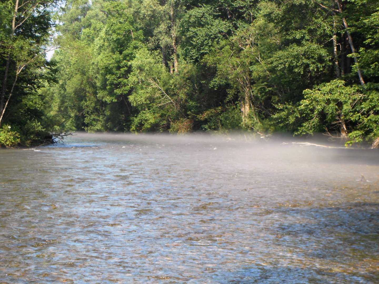 DSCN0390.JPG