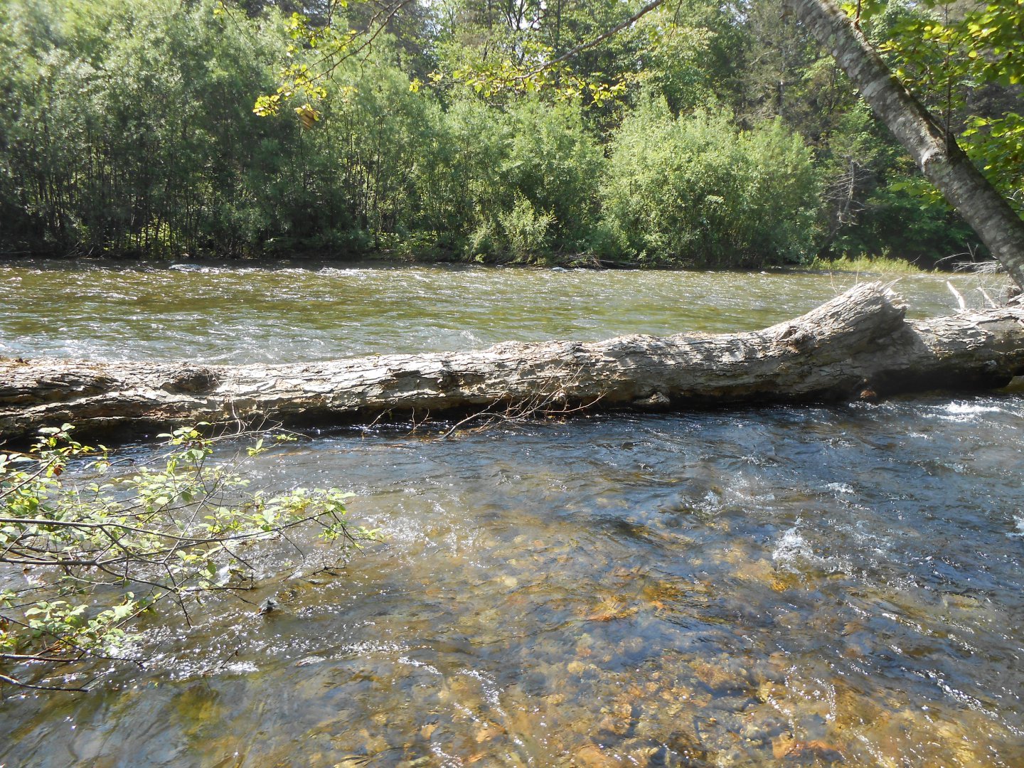 DSCN0392.JPG