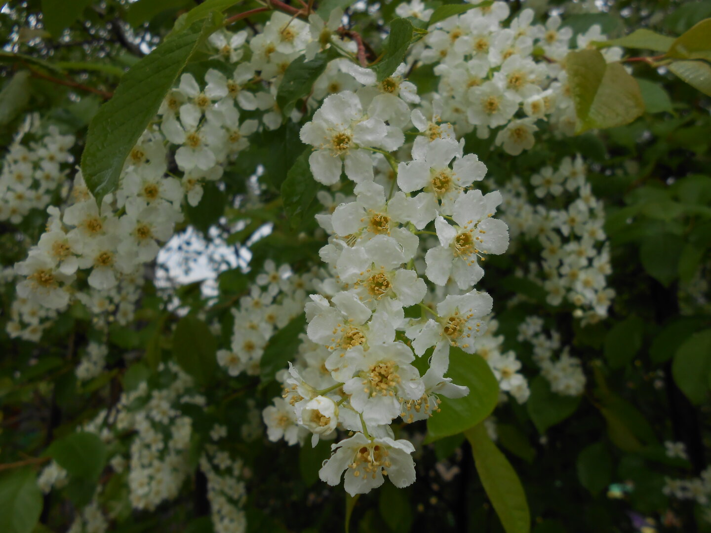 DSCN0392.JPG