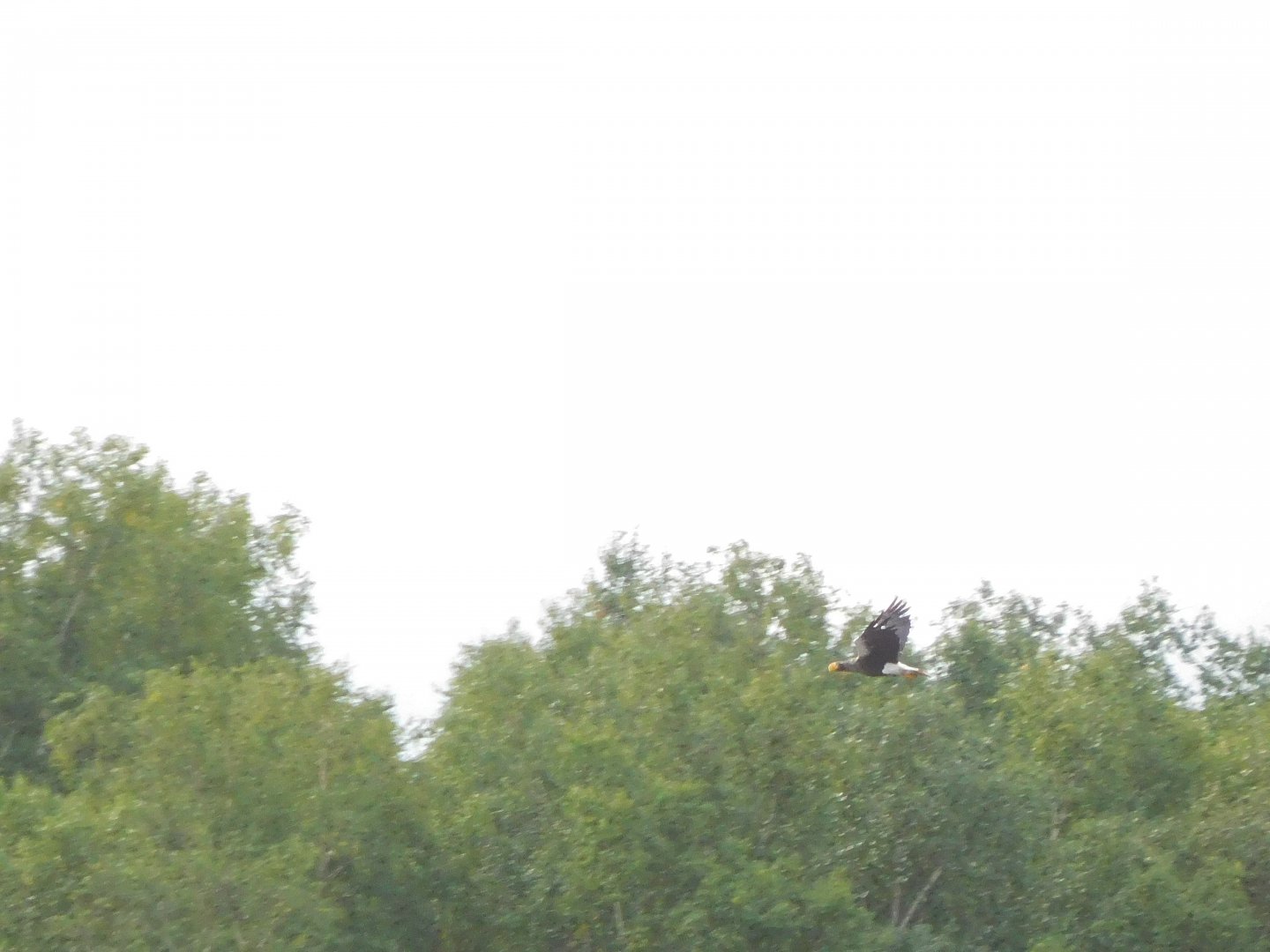DSCN0397.JPG