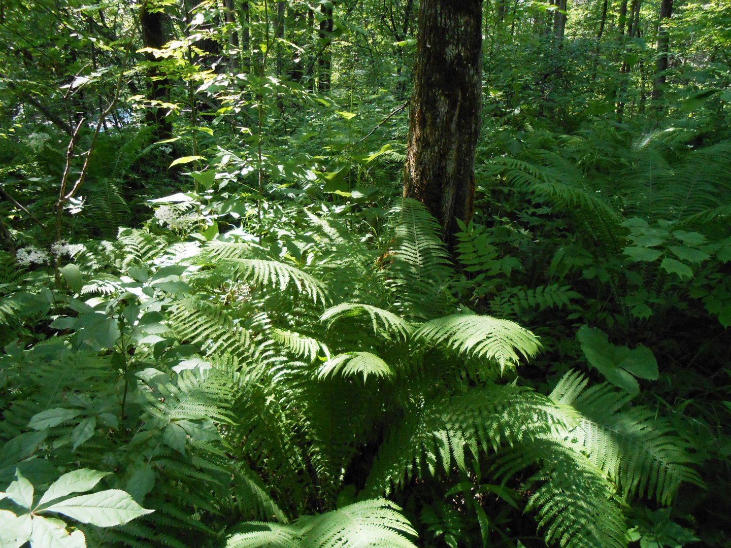 DSCN0403.JPG