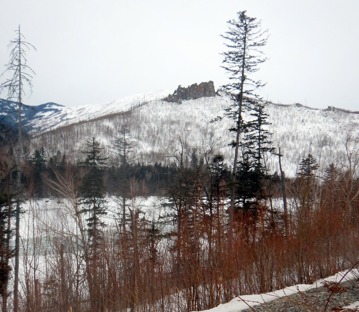 DSCN0407.JPG