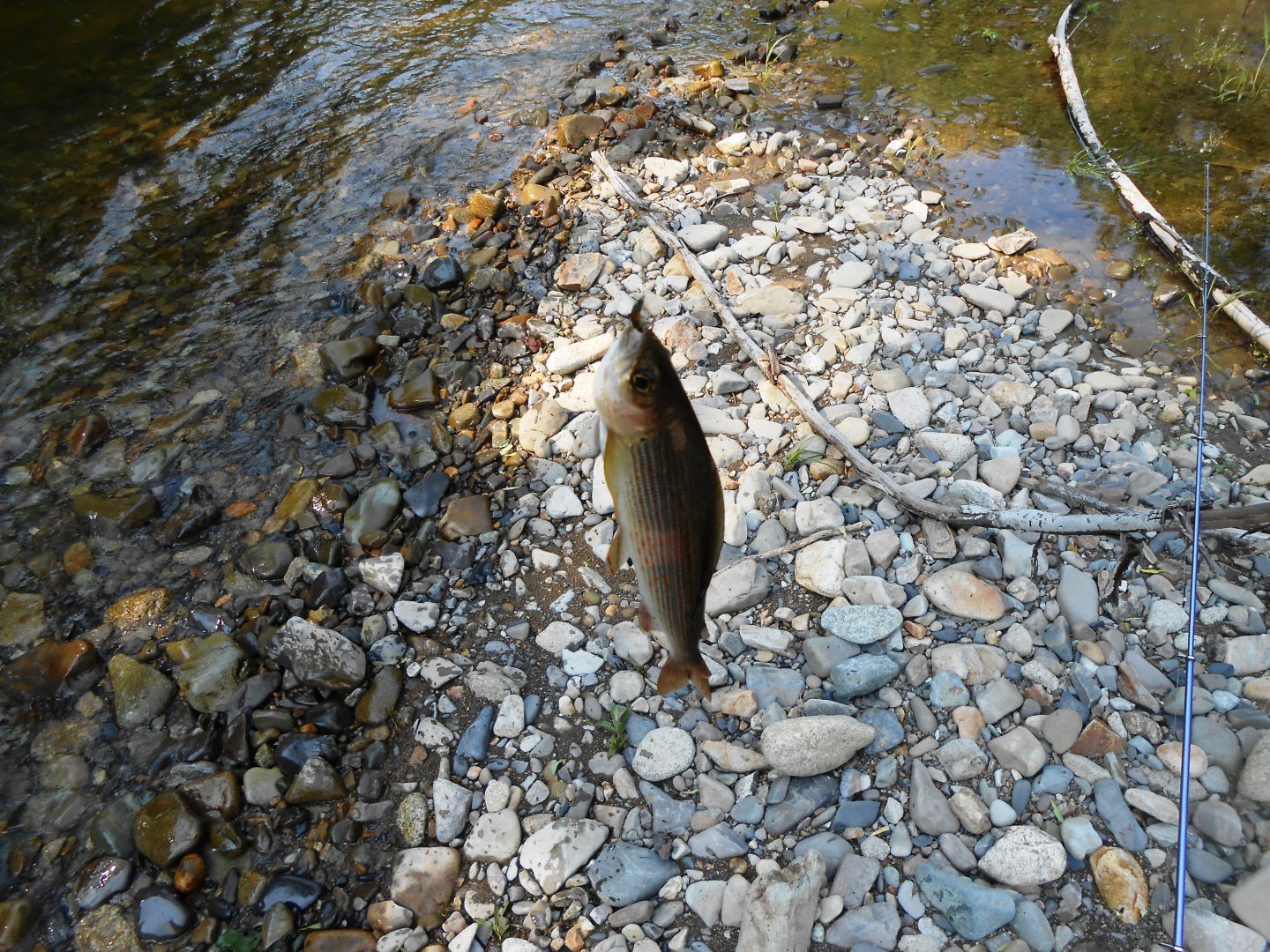 DSCN0409.JPG