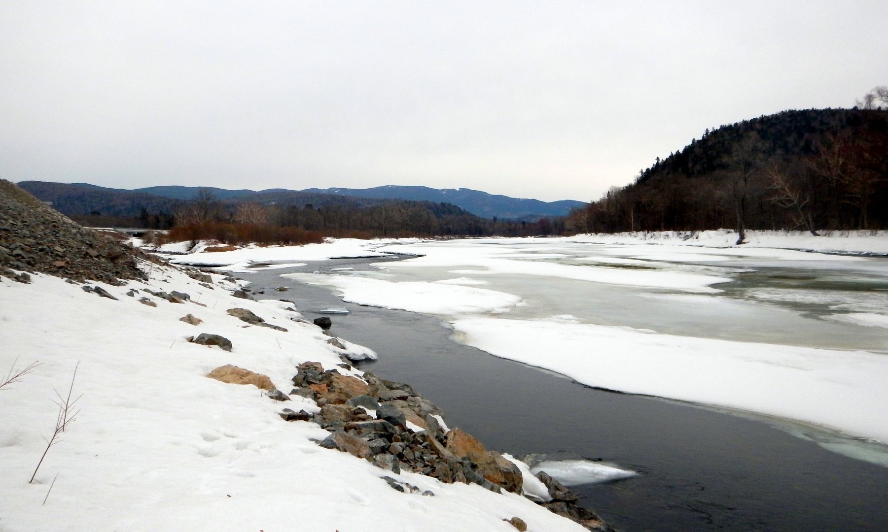DSCN0411.JPG