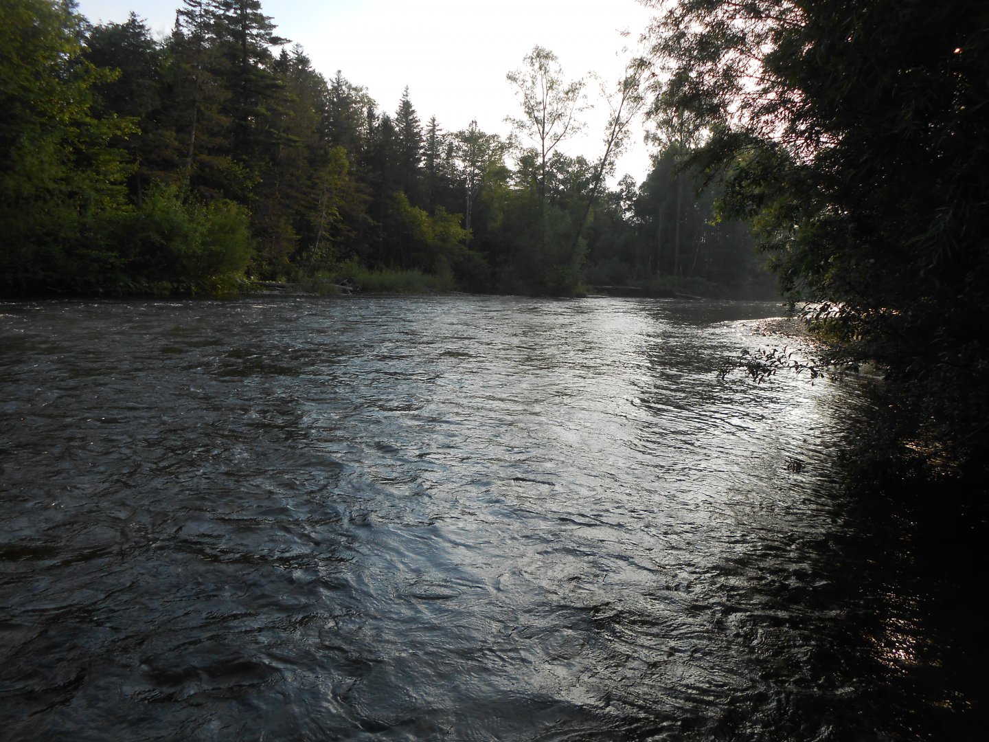 DSCN0415.JPG