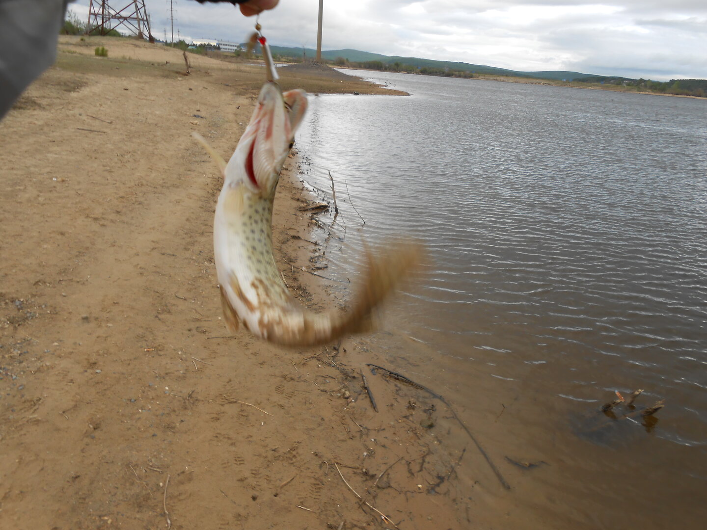 DSCN0416.JPG