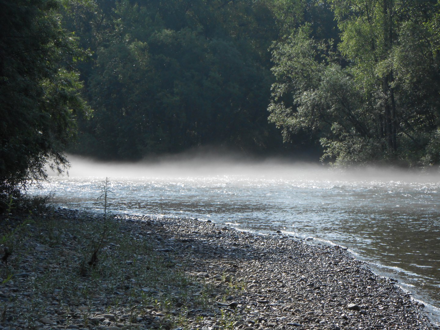 DSCN0425.JPG