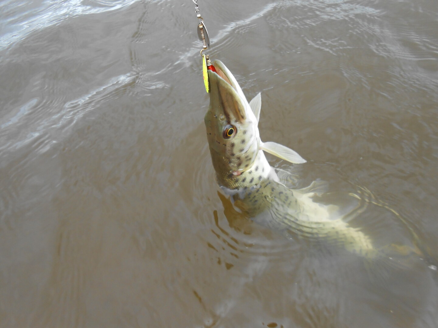 DSCN0425.JPG