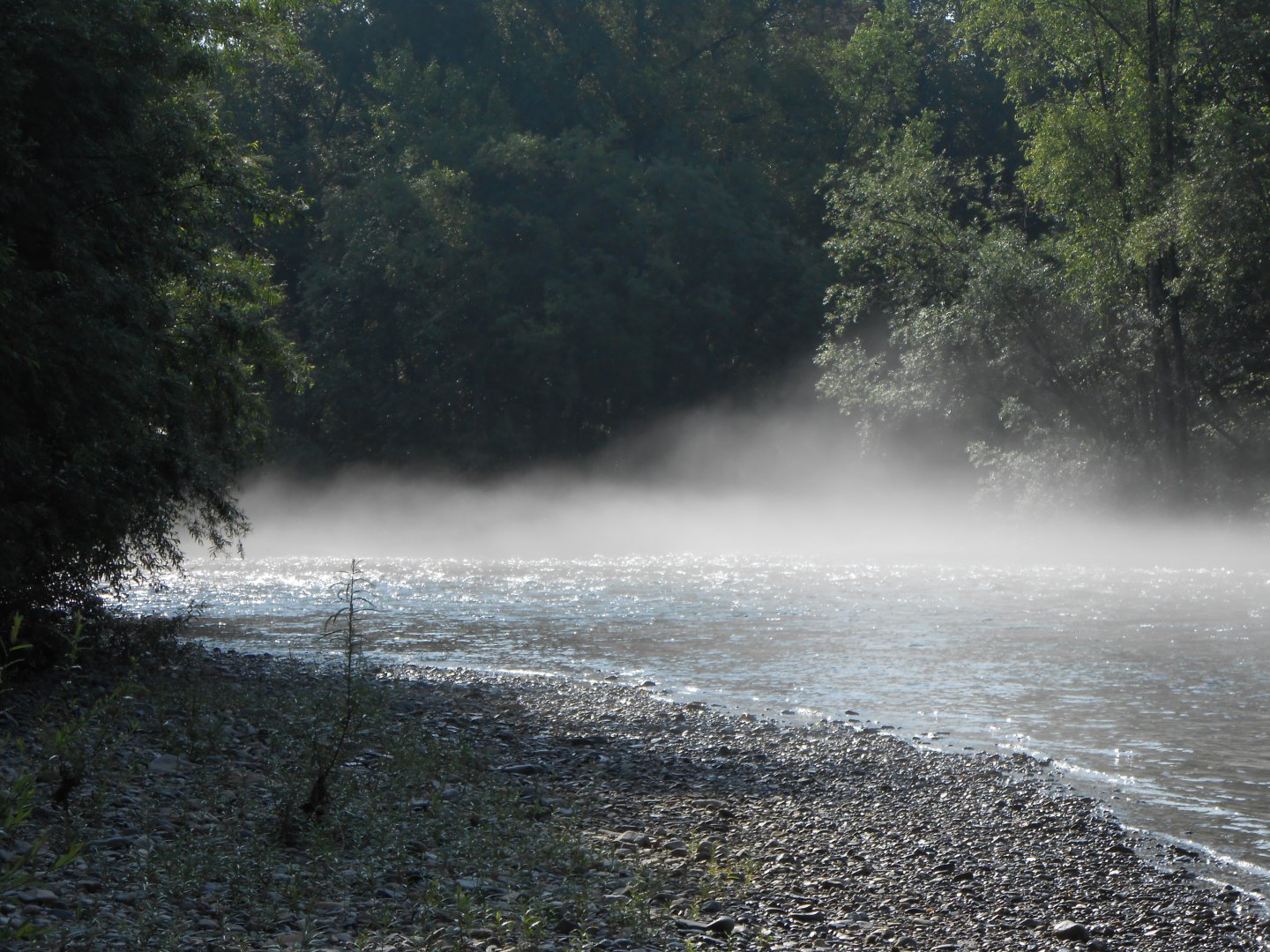DSCN0426.JPG