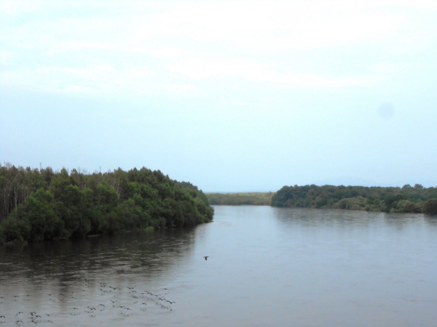 DSCN0434.JPG