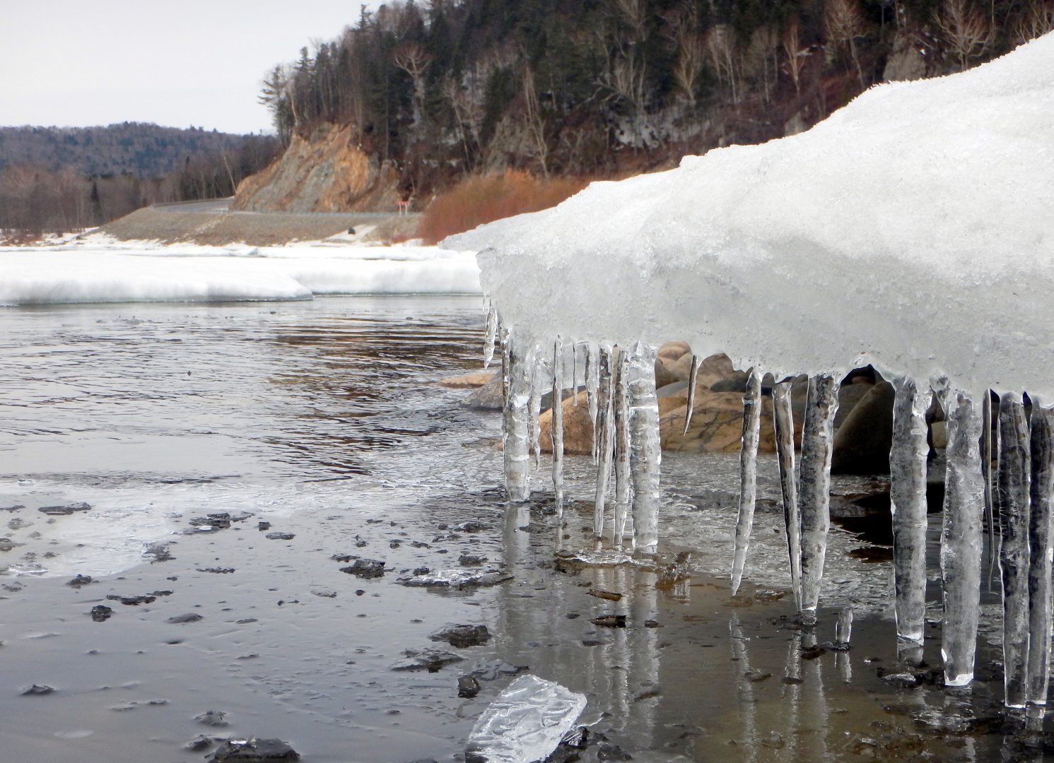 DSCN0435.JPG