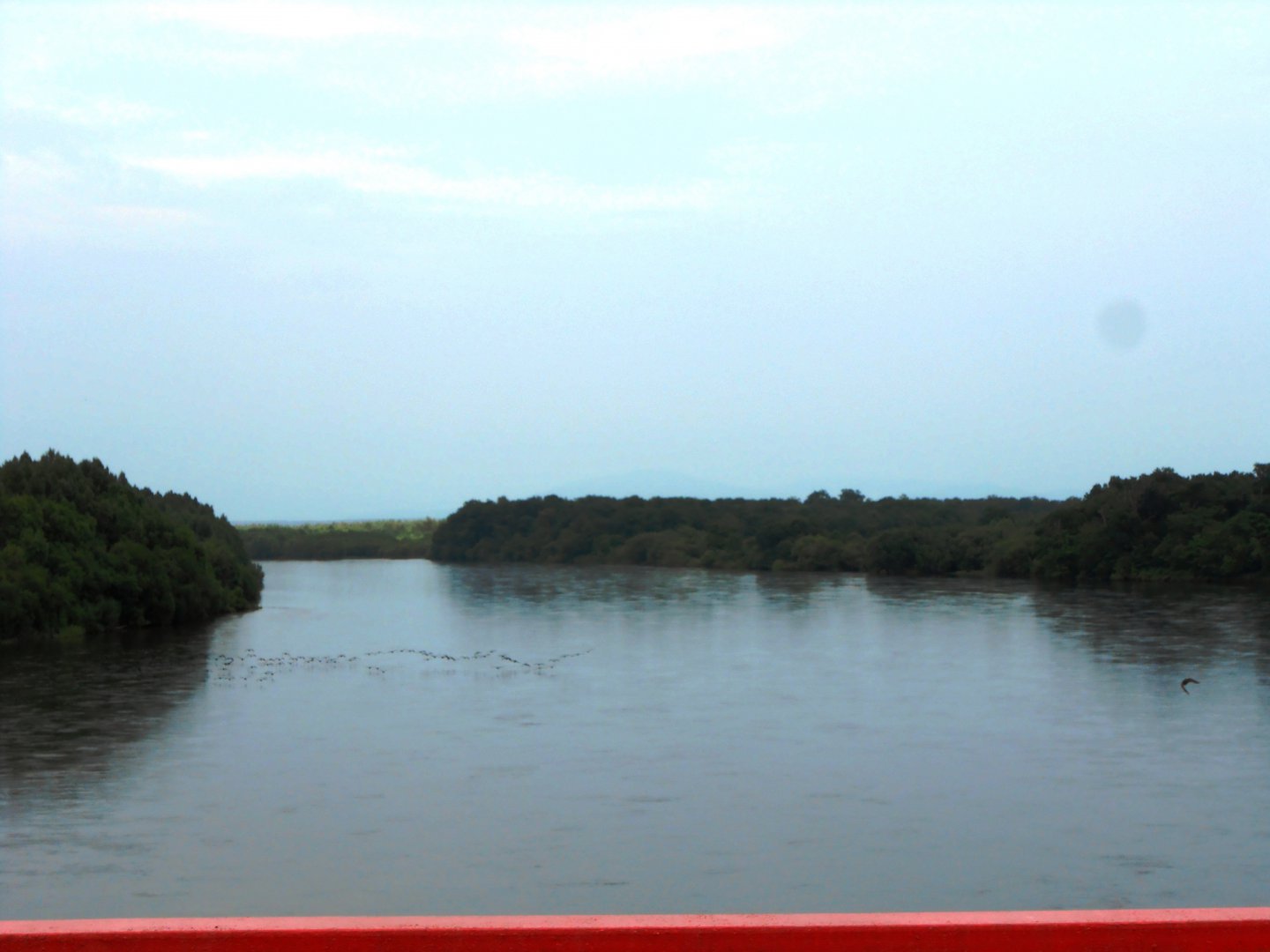 DSCN0436.JPG