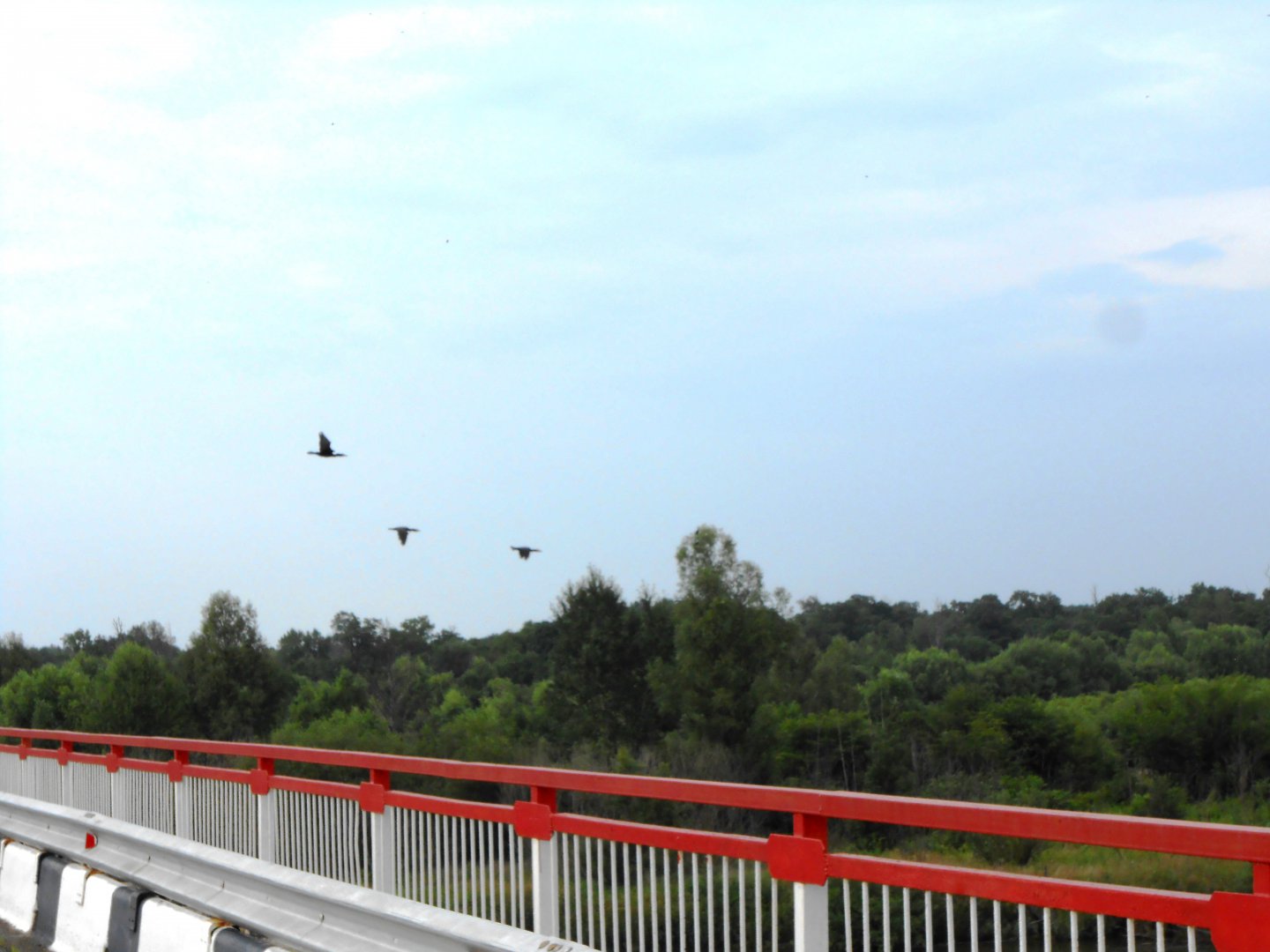 DSCN0437.JPG