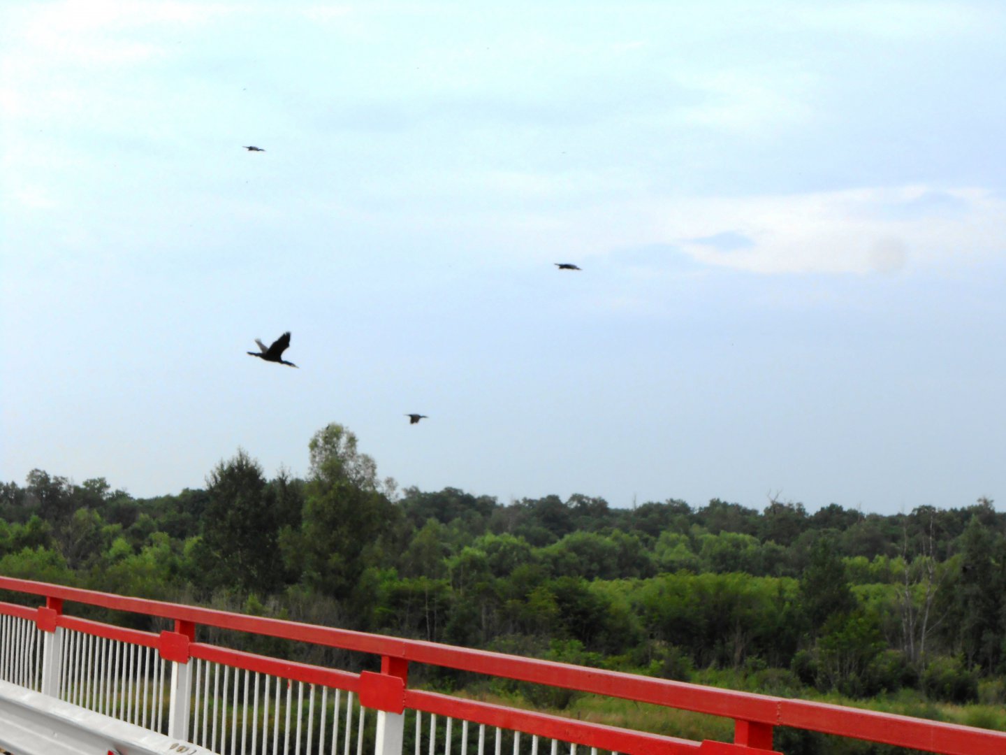 DSCN0438.JPG