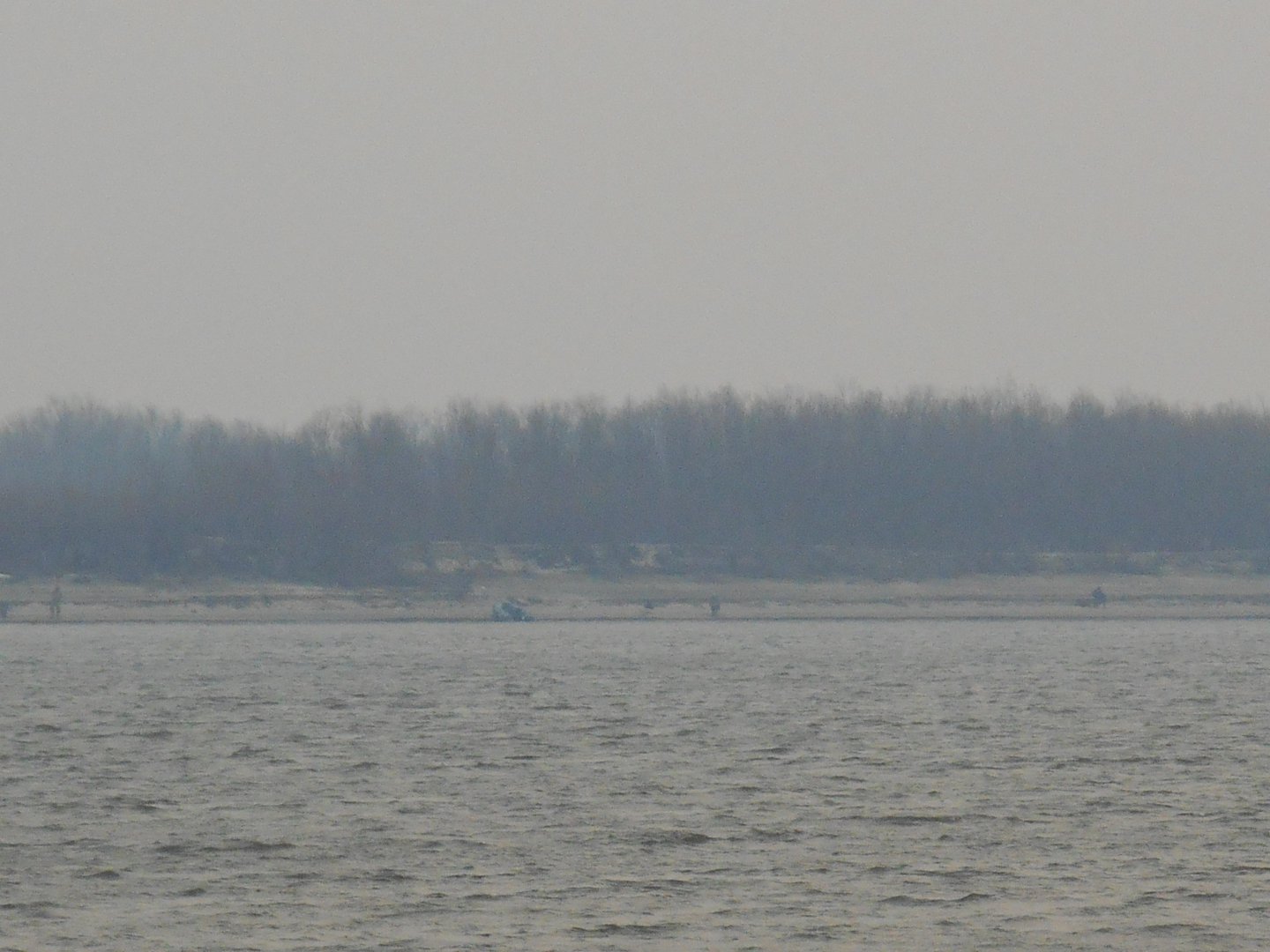 DSCN0440.JPG
