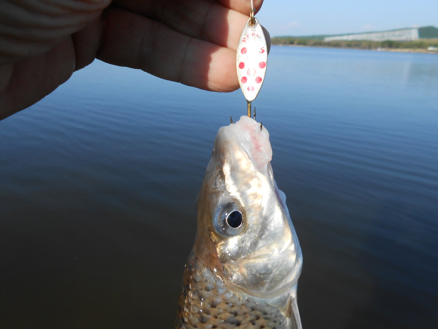 DSCN0460.JPG