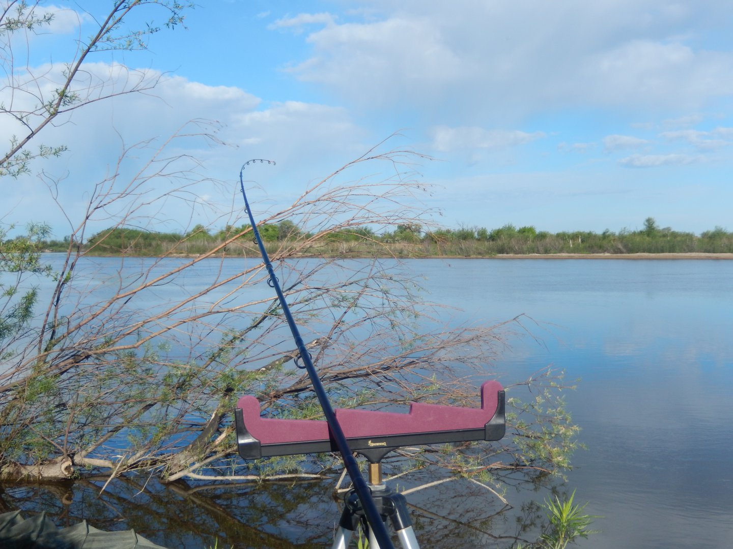 DSCN0494.JPG