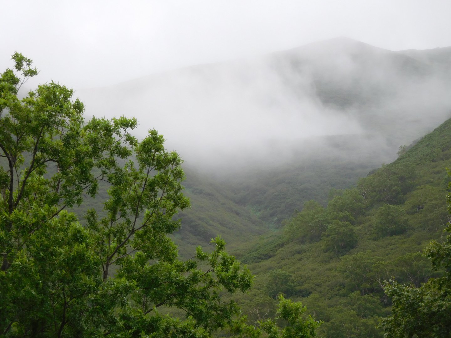 DSCN0609.jpg