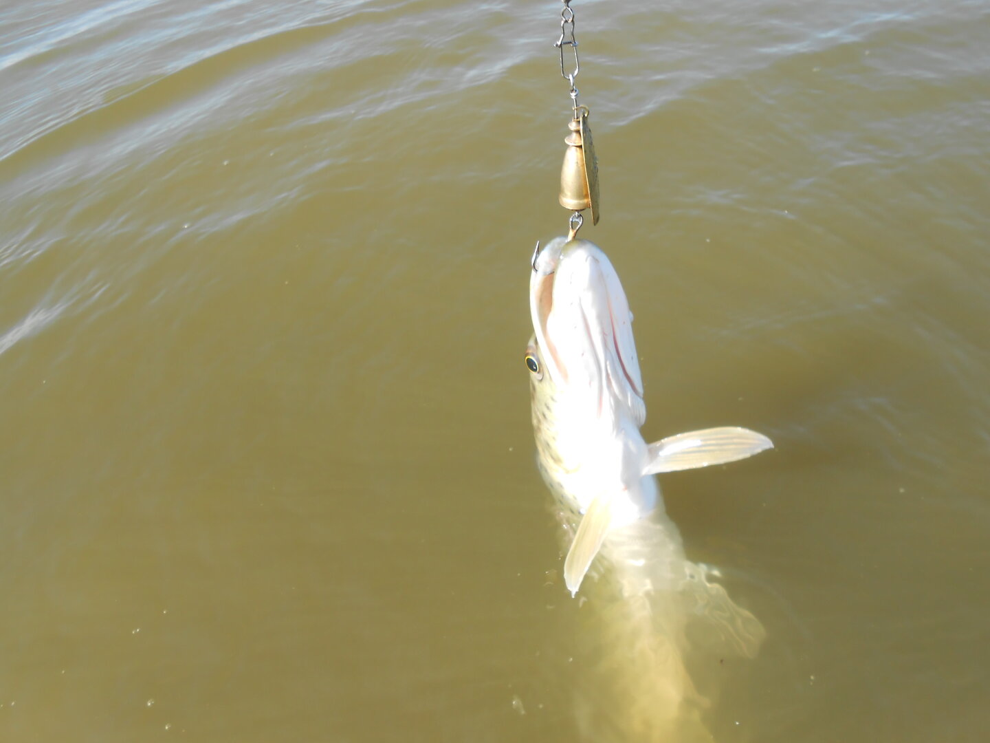 DSCN0613.JPG