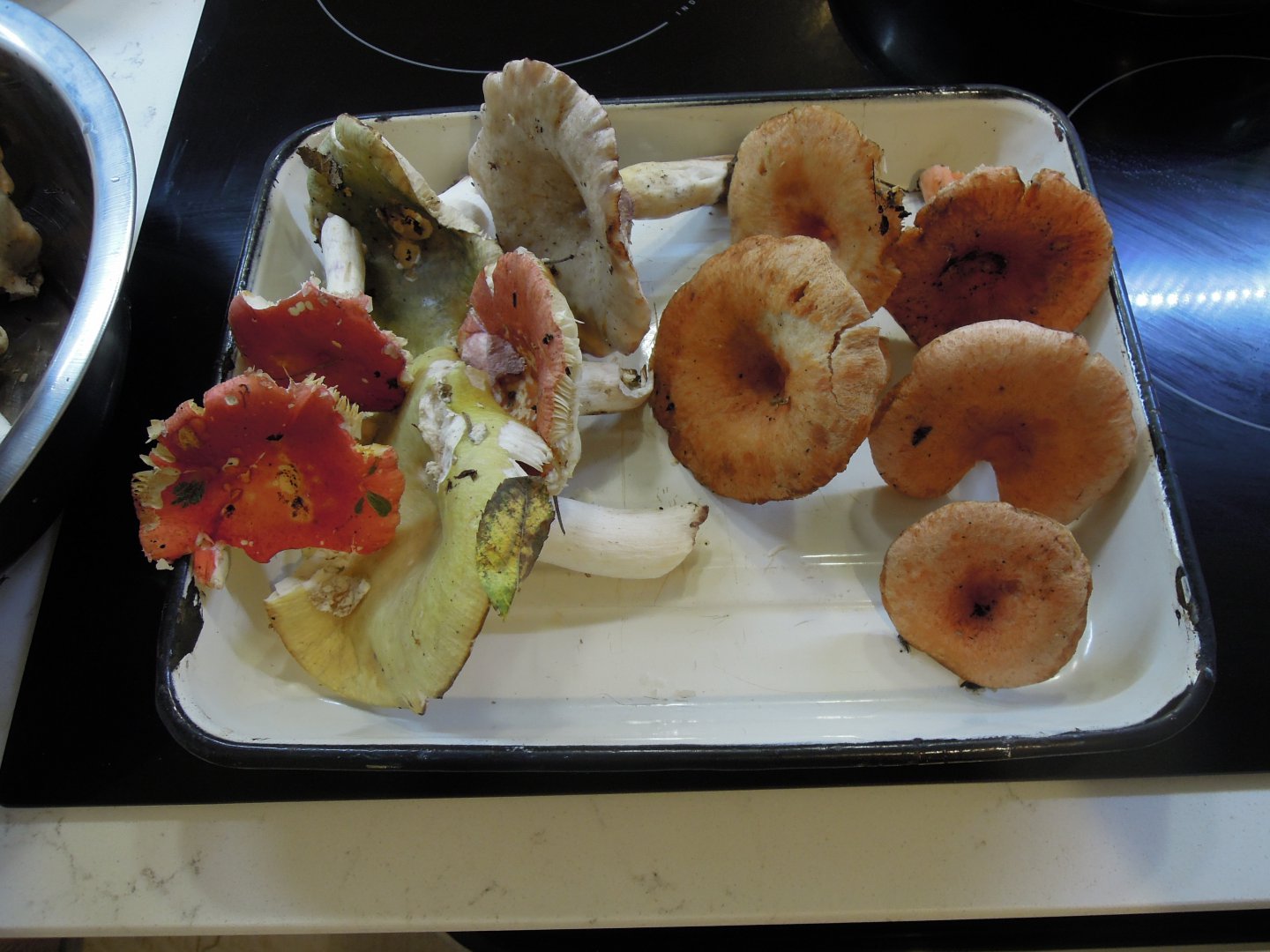 DSCN0634.JPG
