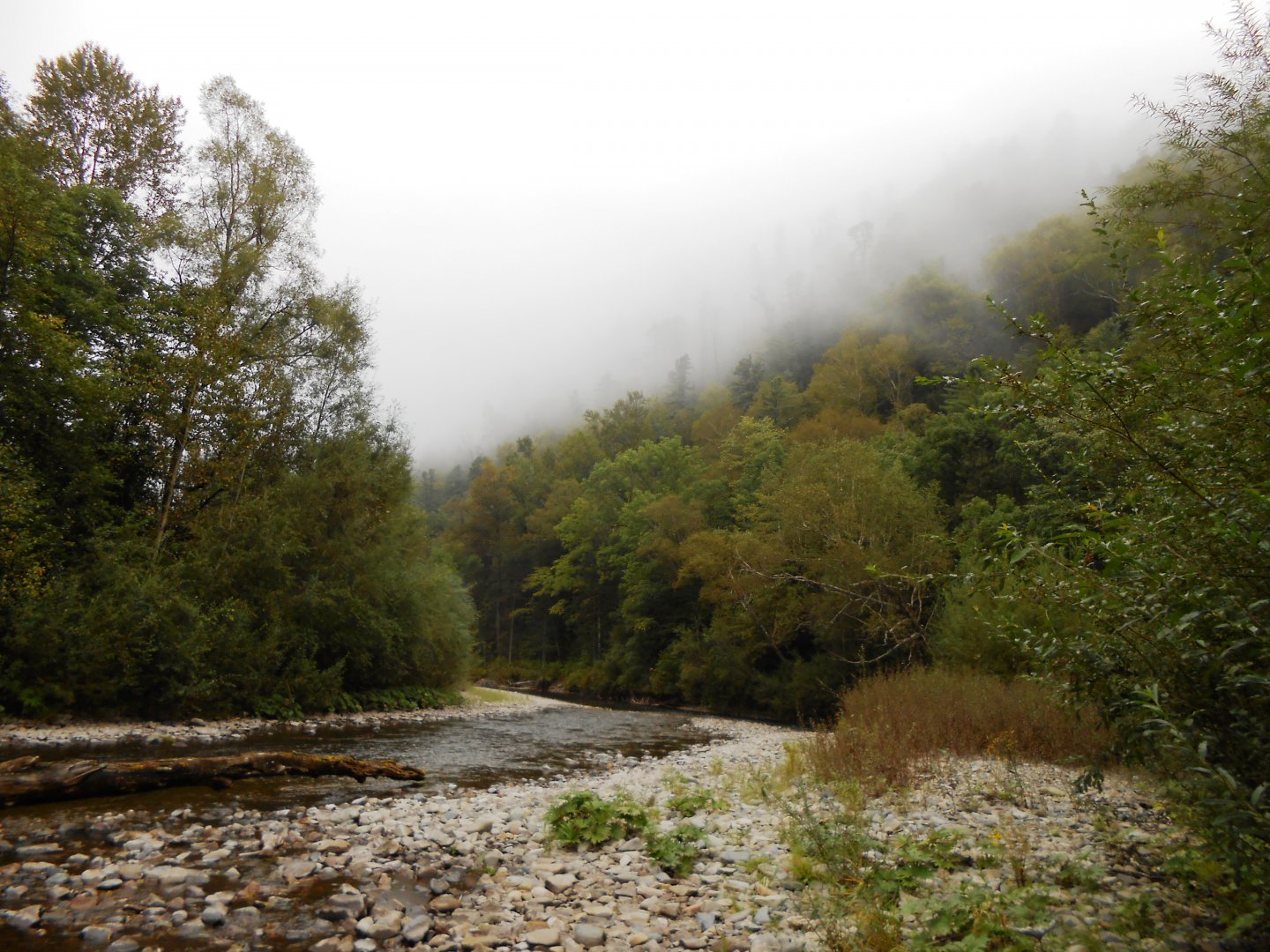 DSCN0652.JPG