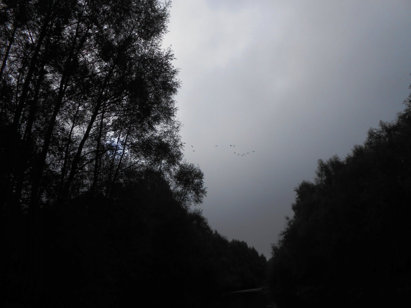 DSCN0654.JPG