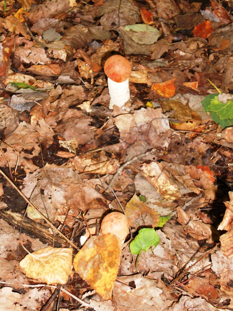 DSCN0673.JPG