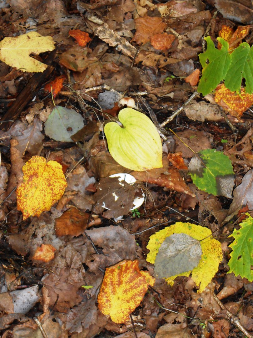 DSCN0674.JPG