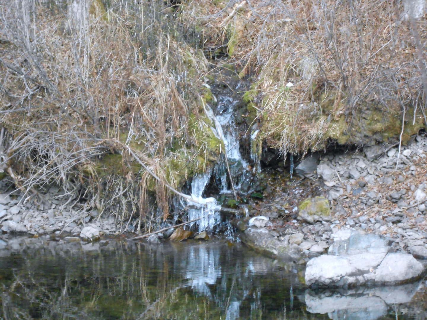 DSCN0703.JPG