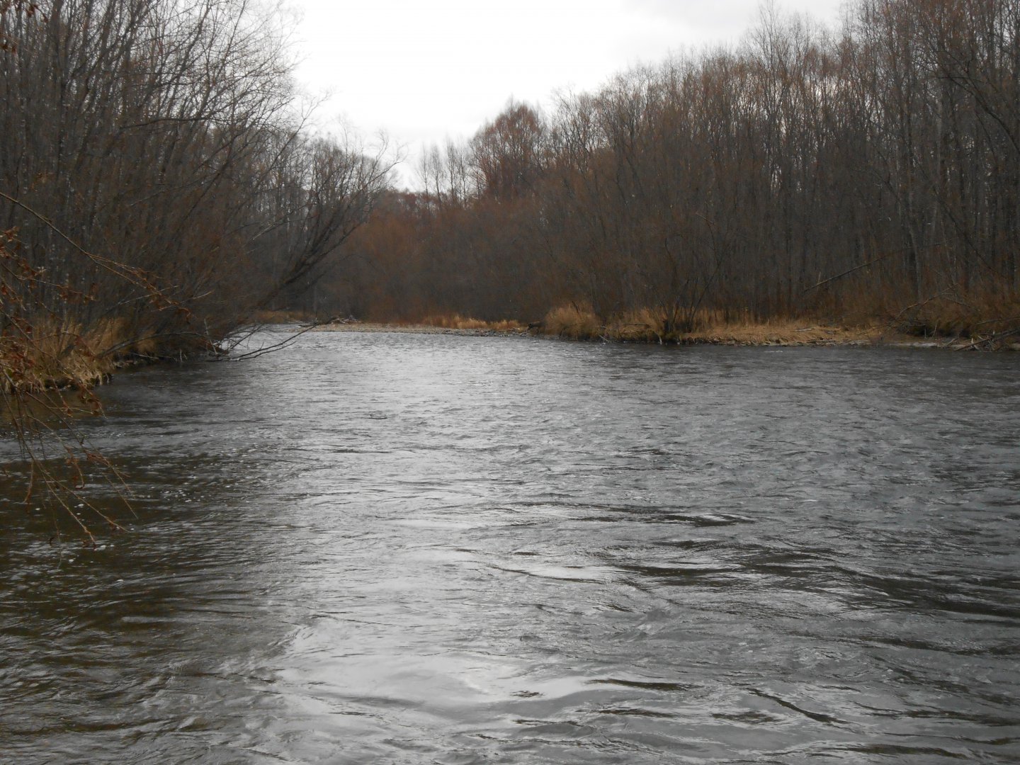 DSCN0705.JPG