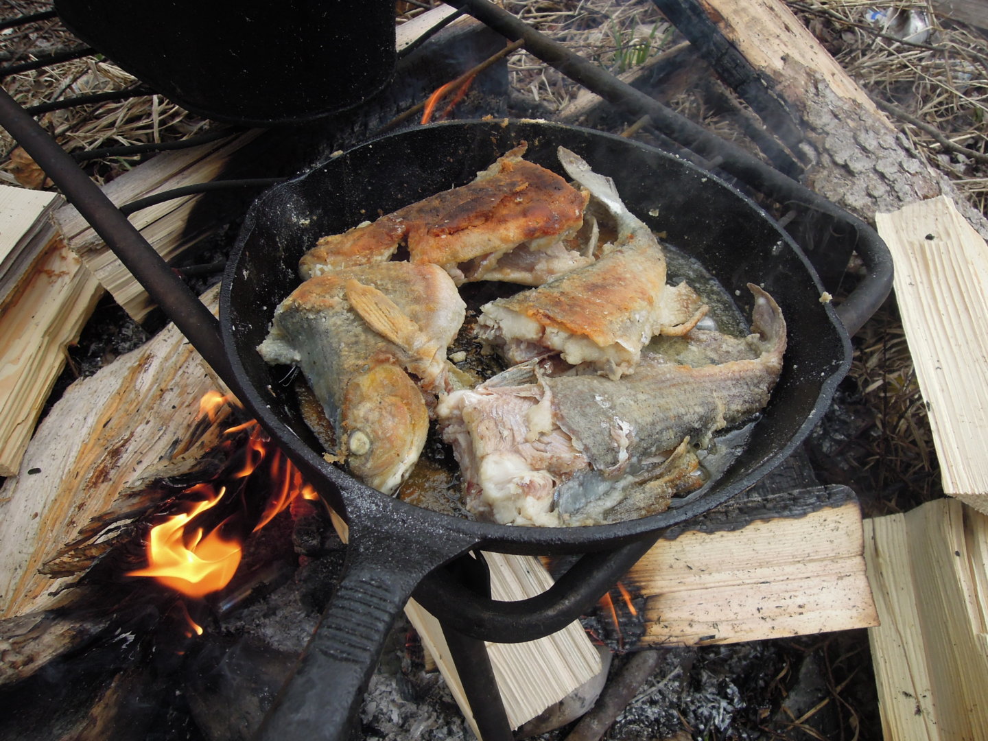 DSCN0734.JPG