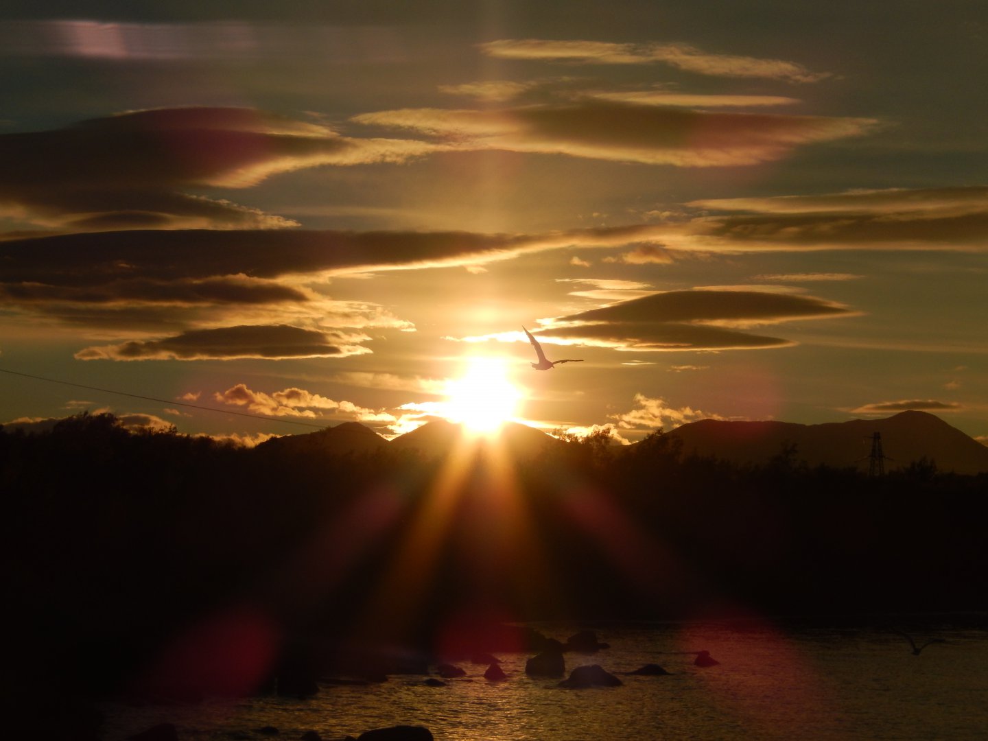DSCN0742.JPG