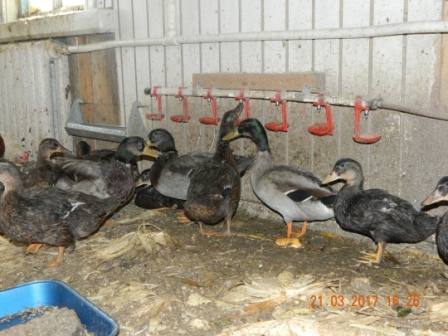 DSCN0768.JPG