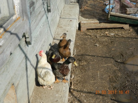 DSCN0770.JPG