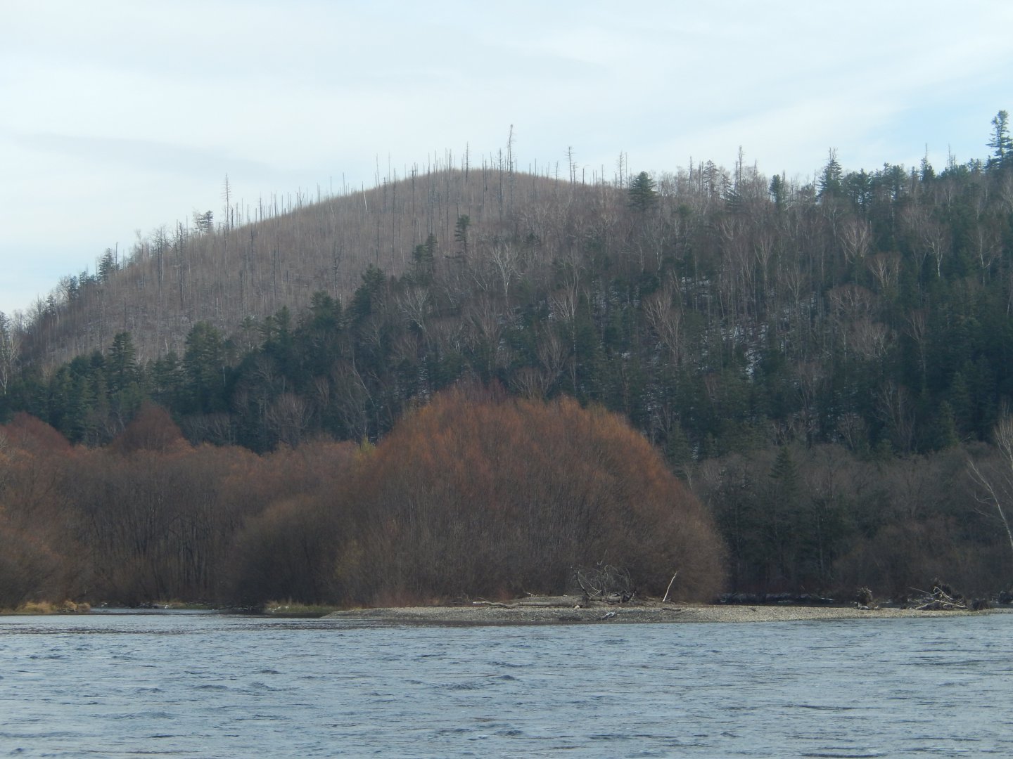 DSCN0827.JPG