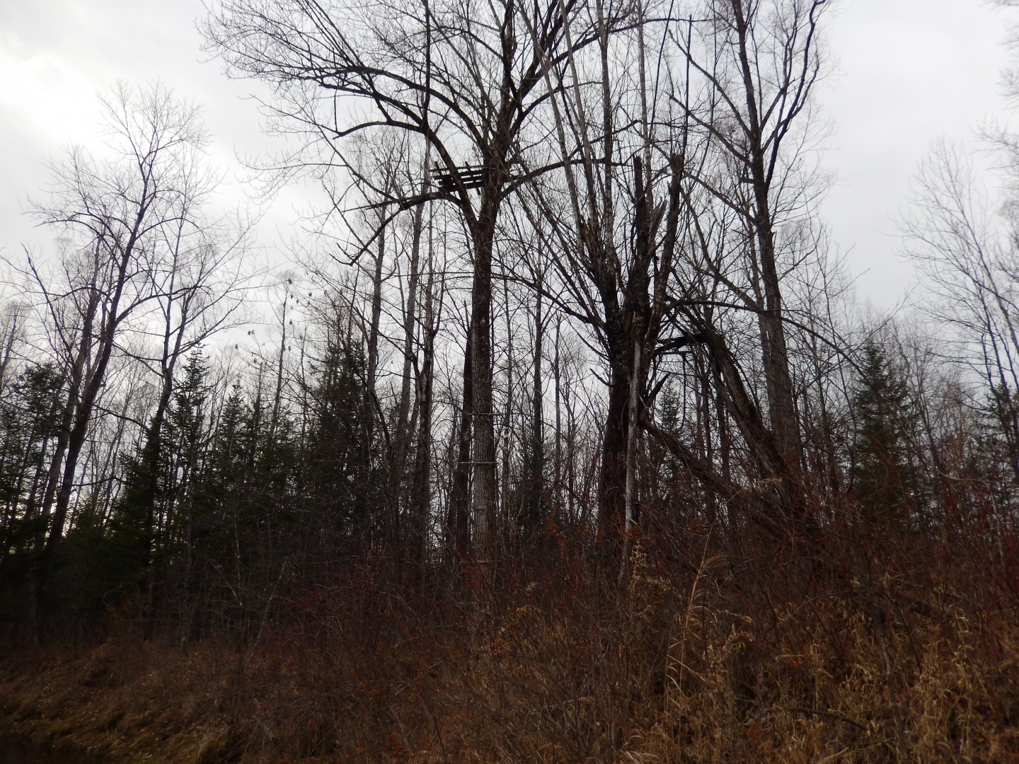 DSCN0857.JPG