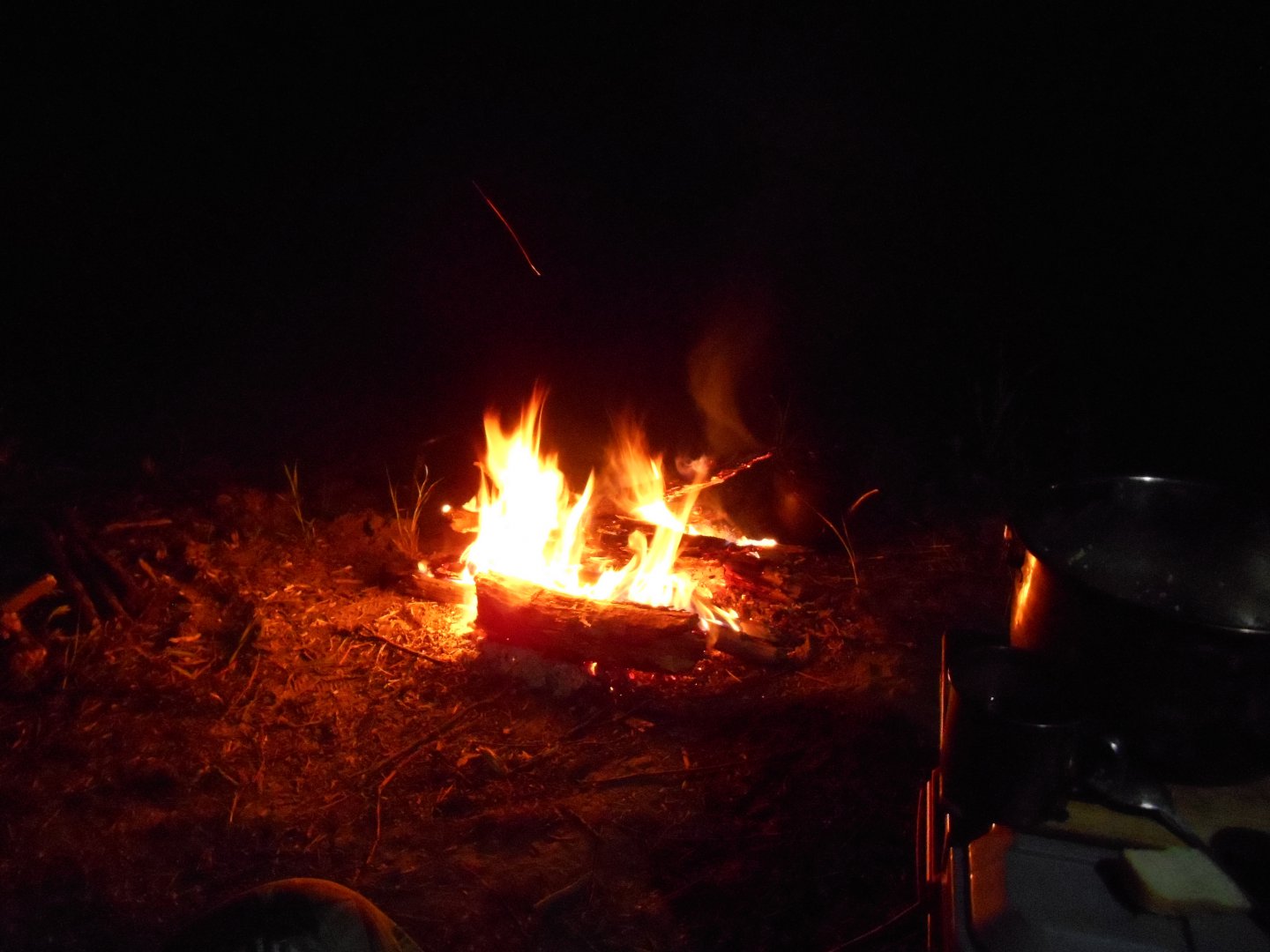 DSCN0880.JPG