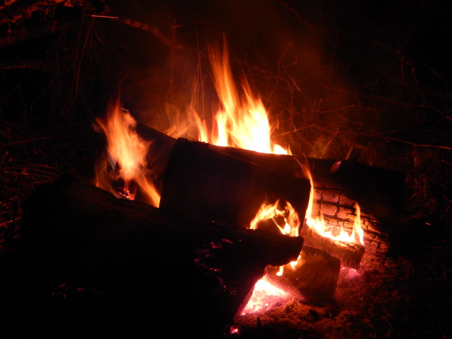 DSCN0895.JPG