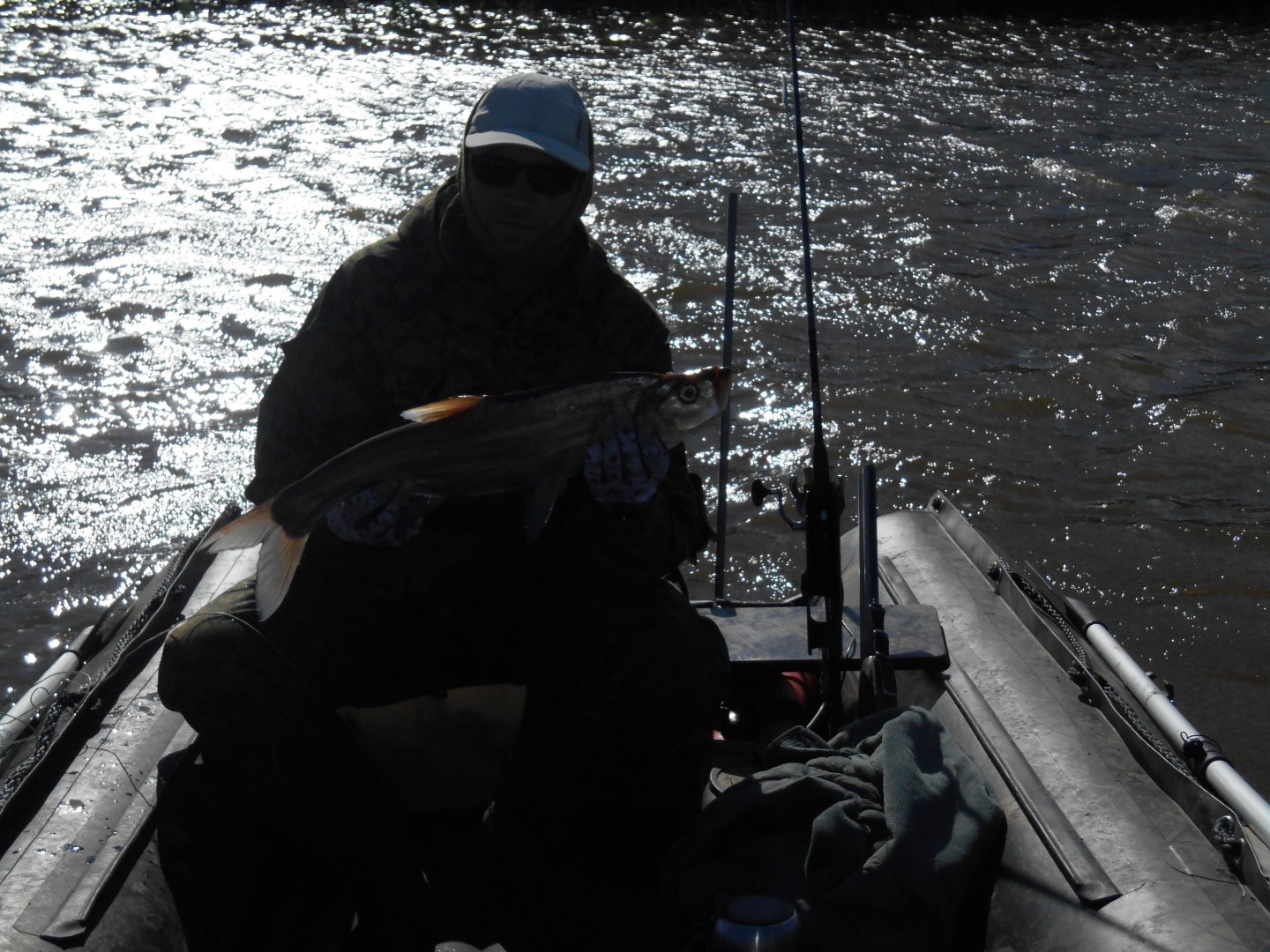 DSCN0908.JPG