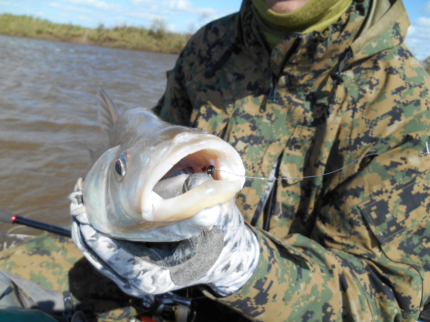 DSCN0913.JPG