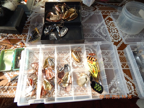 DSCN0942.JPG