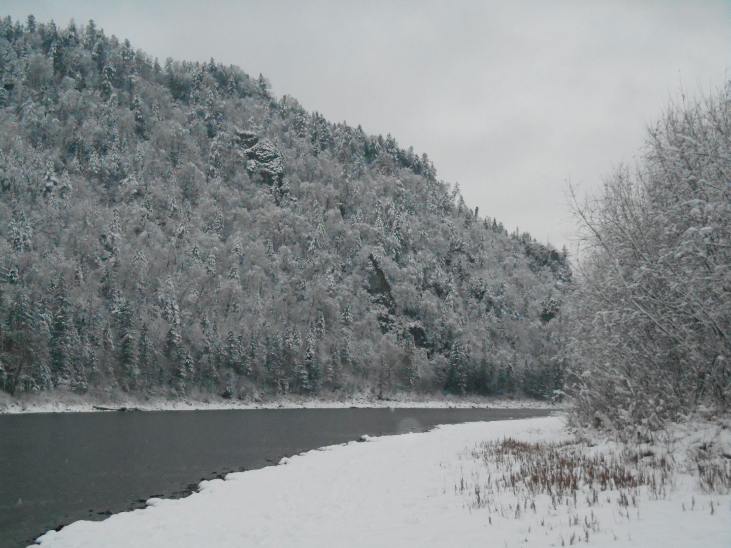 DSCN0954.JPG