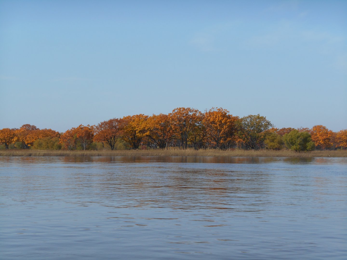 DSCN0992.JPG
