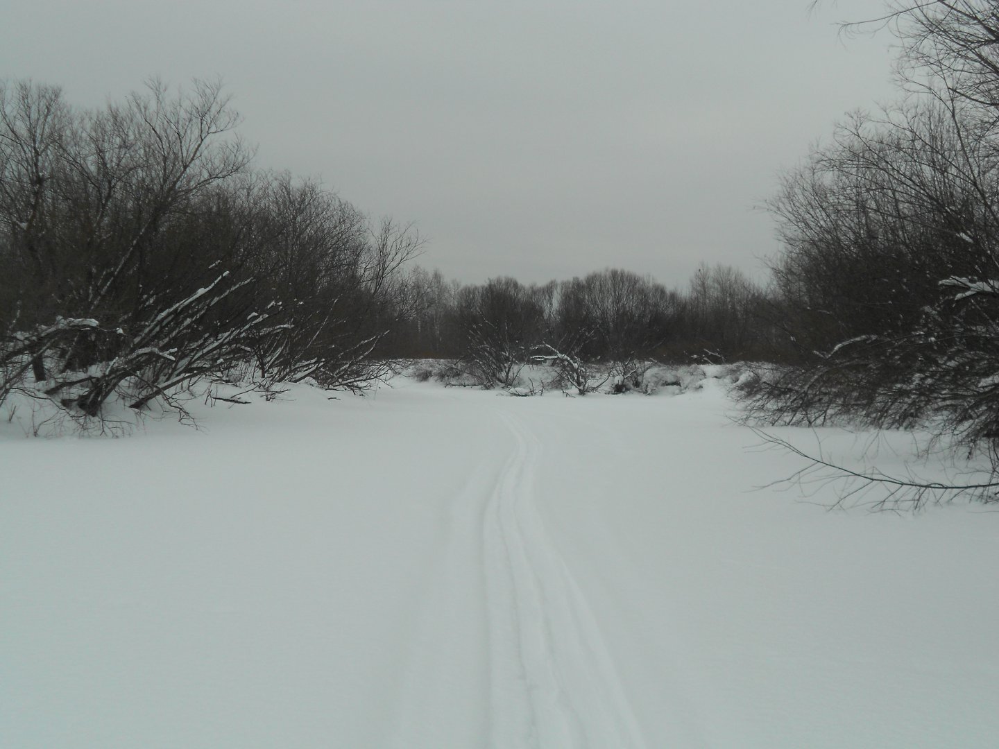 DSCN1024.JPG