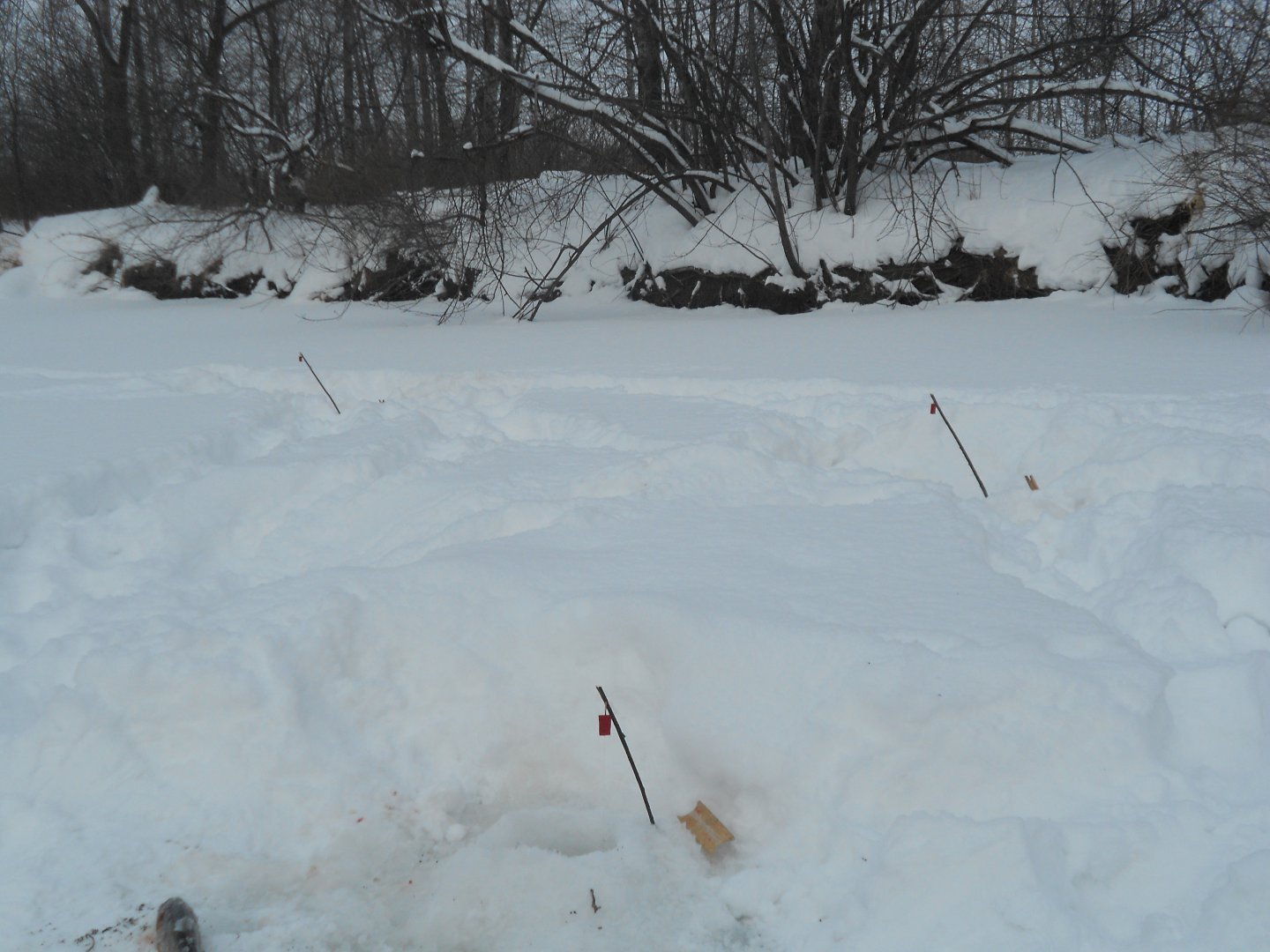 DSCN1027.JPG