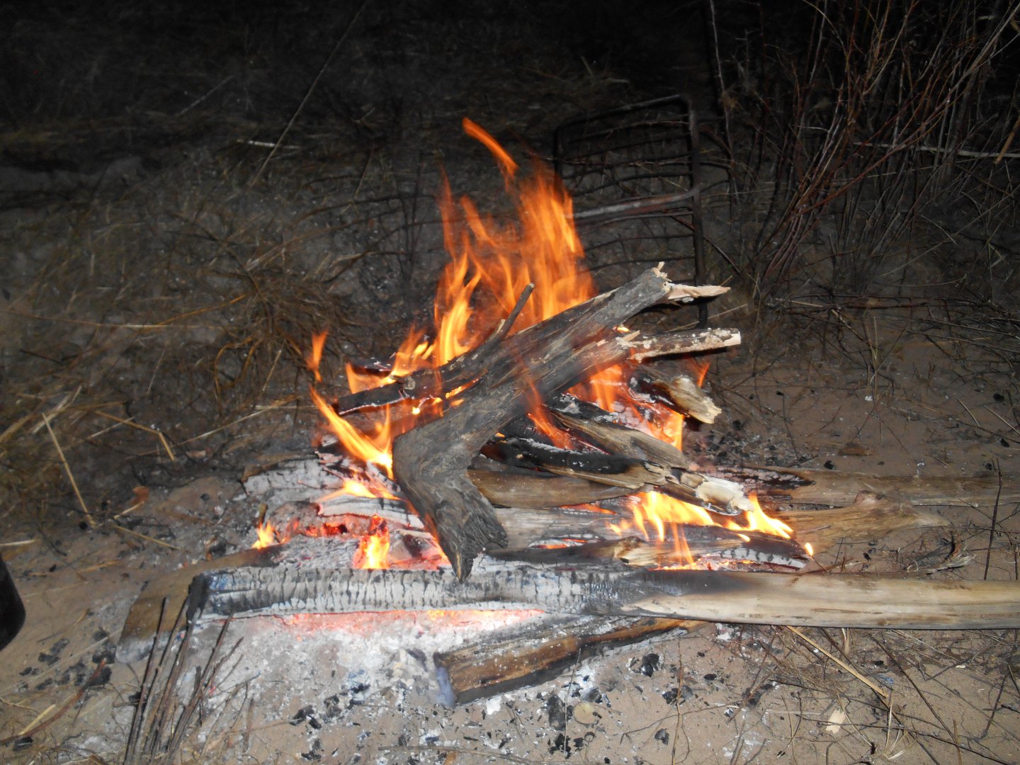 DSCN1028.JPG